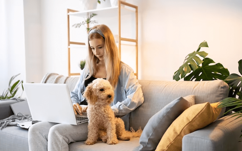 Mẹo và Lưu Ý Quan Trọng