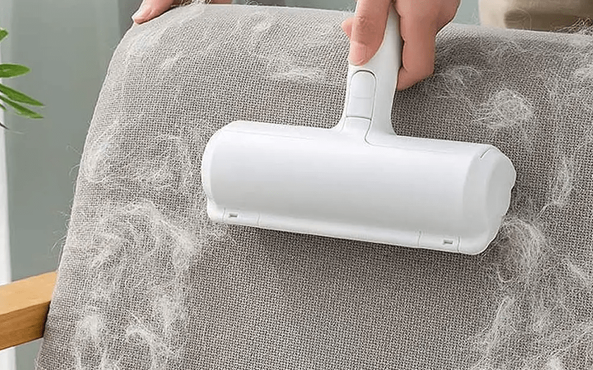 Cách Vệ Sinh Lông Chó Mèo Trên Ghế Sofa