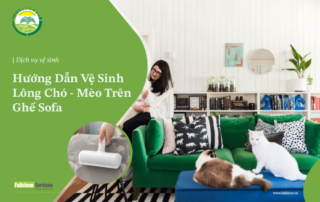 ve-sinh-long-cho-meo-tren-ghe-sofa