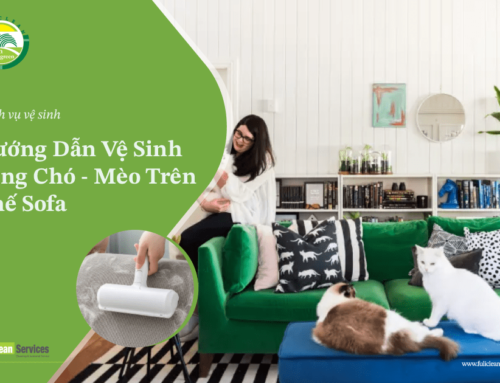 Hướng Dẫn Vệ Sinh Lông Chó Mèo Trên Ghế Sofa